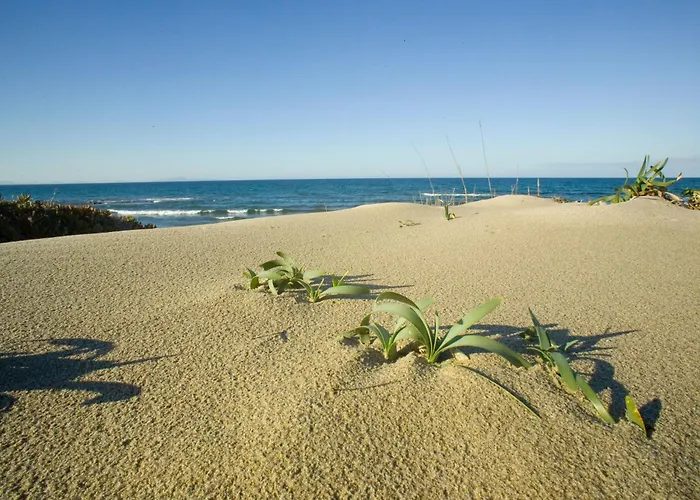 Desvelos By Interhome Appartement